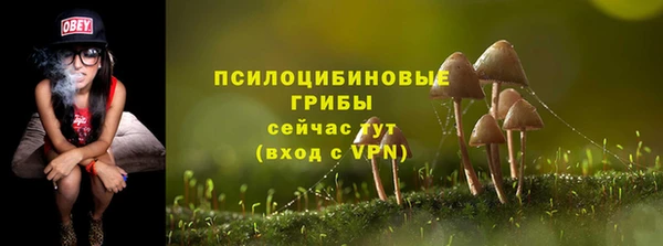 крисы Абаза