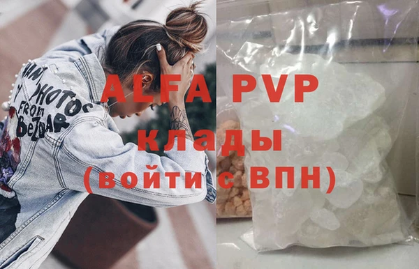 крисы Абаза