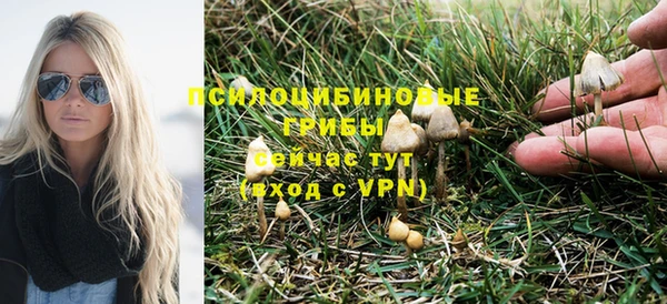 крисы Абаза