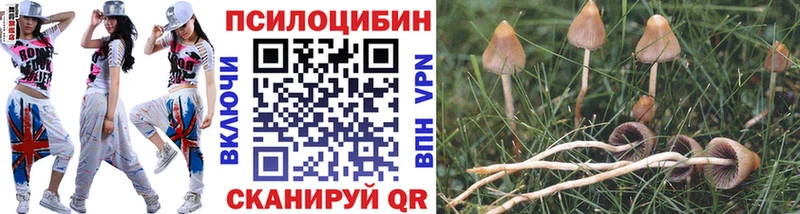Галлюциногенные грибы Psilocybe  наркотики  Киренск 